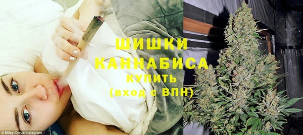 молекула духа Новодвинск