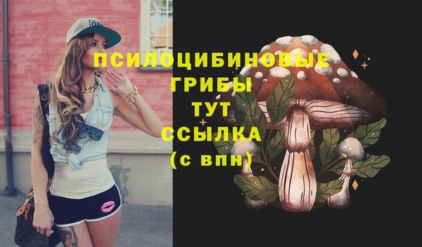 jwh Новозыбков