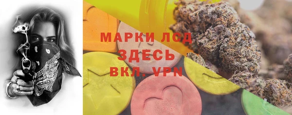 ECSTASY Абаза