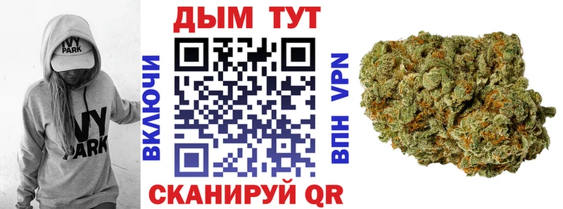 МАРИХУАНА конопля  Торопец 